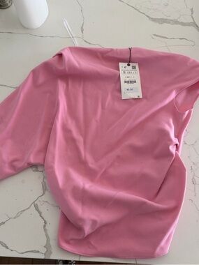 Zara Pink Long-Sleeve Knit Top with Tag